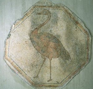 Mosaico raffigurante uno struzzo, da Salkim, Turchia